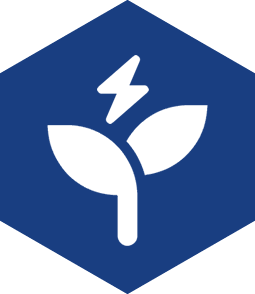 Biofuels and Biomass